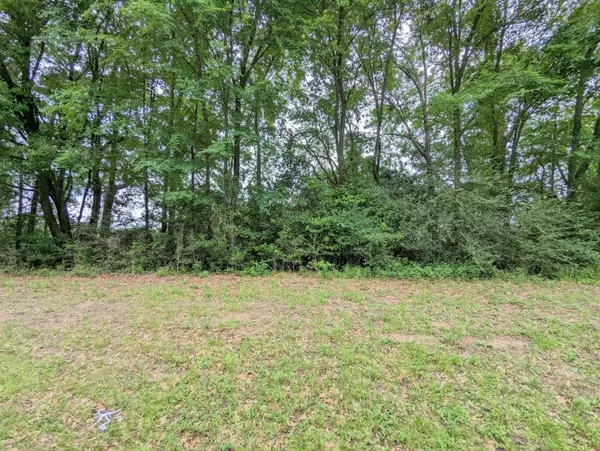 TBD Royal Lake DR, Willis, TX 77303