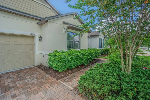 17124 BALANCE CV, Land O Lakes, FL 34638