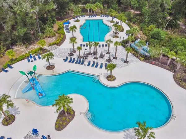 17124 BALANCE CV, Land O Lakes, FL 34638