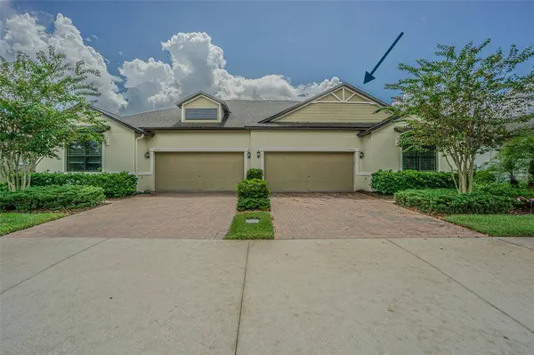 17124 BALANCE CV, Land O Lakes, FL 34638