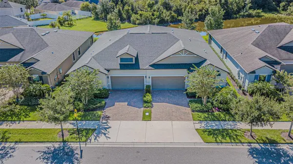 17124 BALANCE CV, Land O Lakes, FL 34638