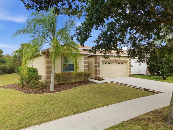 10618 BLUE CORAL LN, Tampa, FL 33647