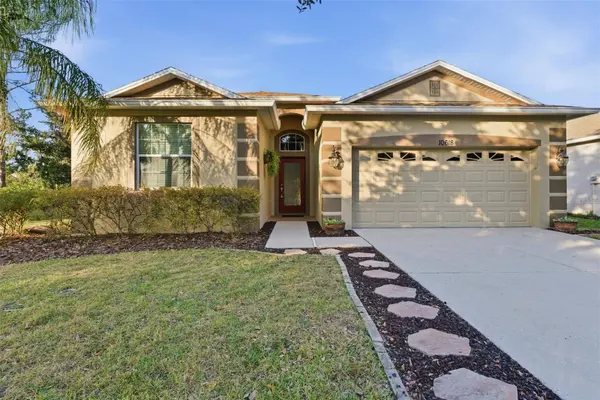 10618 BLUE CORAL LN, Tampa, FL 33647