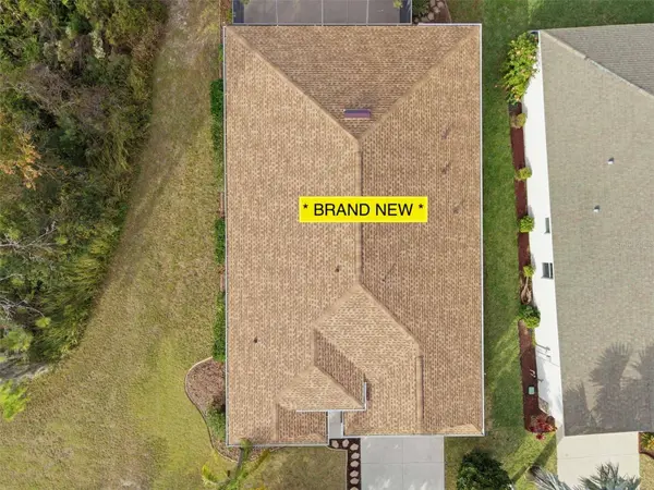 10618 BLUE CORAL LN, Tampa, FL 33647