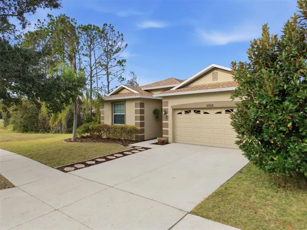 10618 BLUE CORAL LN, Tampa, FL 33647
