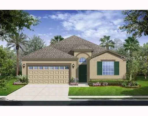 10618 BLUE CORAL LN, Tampa, FL 33647