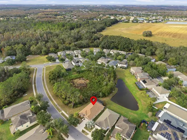 10618 BLUE CORAL LN, Tampa, FL 33647