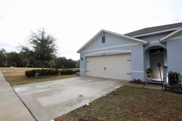 3332 LOGAN BERRY DR, Mount Dora, FL 32757