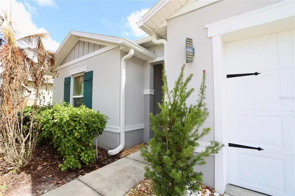 1141 AUGUSTUS DR, Davenport, FL 33896