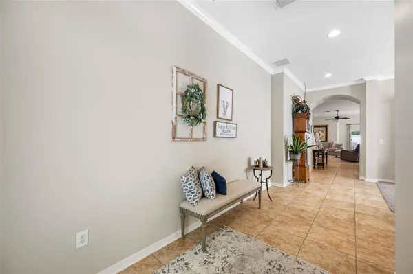 6405 SEA LAVENDER LN, Tampa, FL 33625