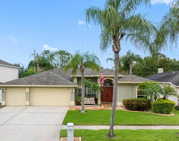 10213 LOCKWOOD PINES LN, Tampa, FL 33635