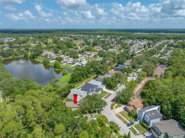 8514 MANASSAS RD, Tampa, FL 33635