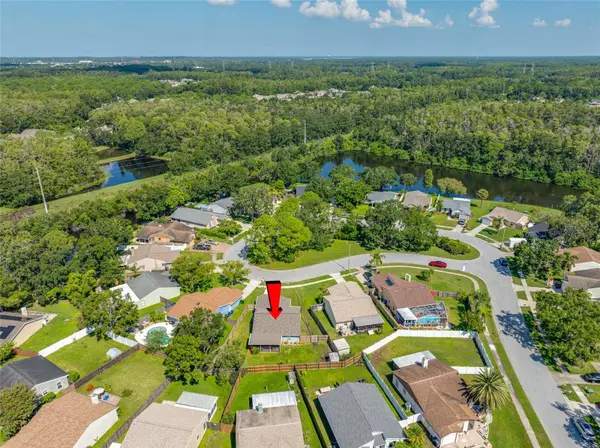 1252 HOLLY CIR, Oldsmar, FL 34677
