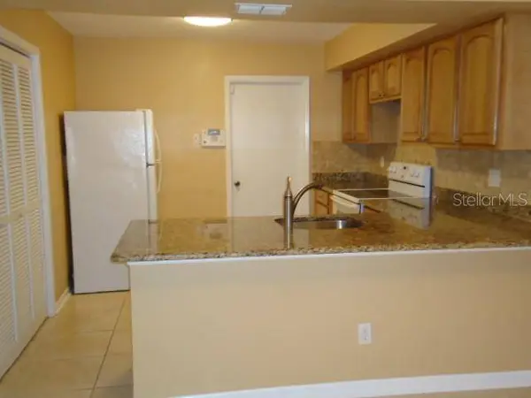 4012 CIRCLEWOOD CT, Tampa, FL 33614