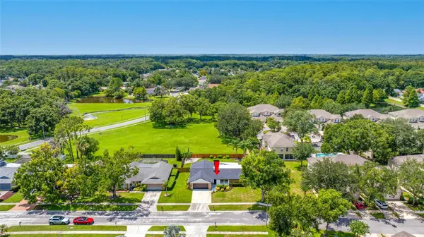 14908 SALAMANDER PL, Tampa, FL 33625