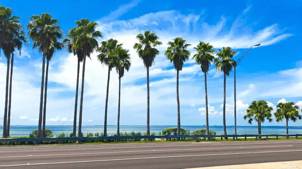 Moving to Florida’s Space Coast? Here’s EVERYTHING You Need to Know Before You Move