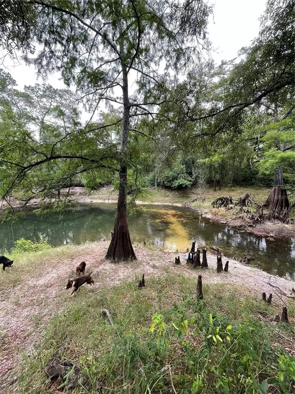 4059 MCKETHAN RD, Dade City, FL 33523