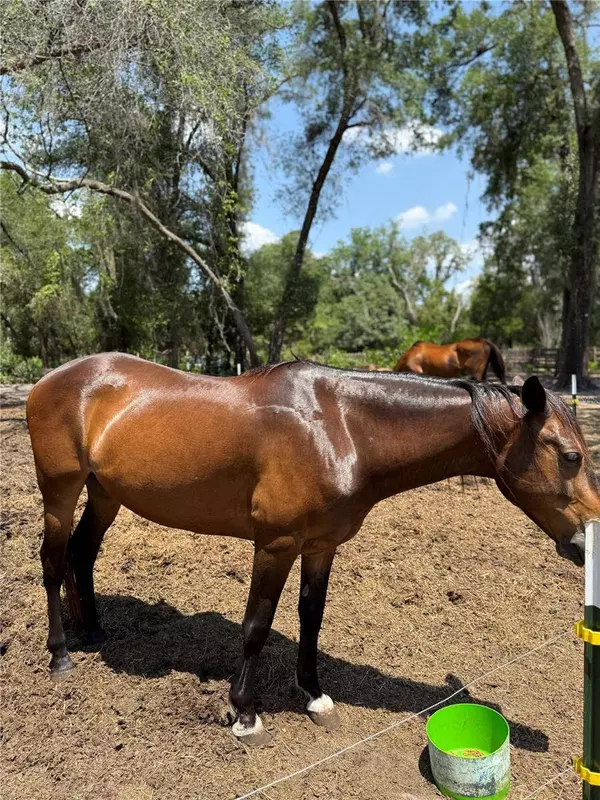 4059 MCKETHAN RD, Dade City, FL 33523