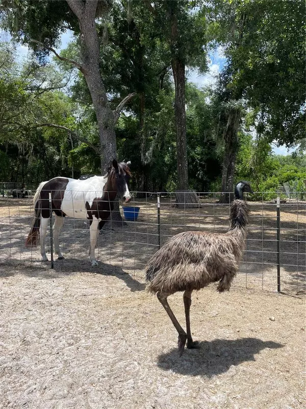 4059 MCKETHAN RD, Dade City, FL 33523