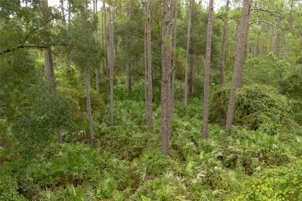 12TH AVE, Deland, FL 32724