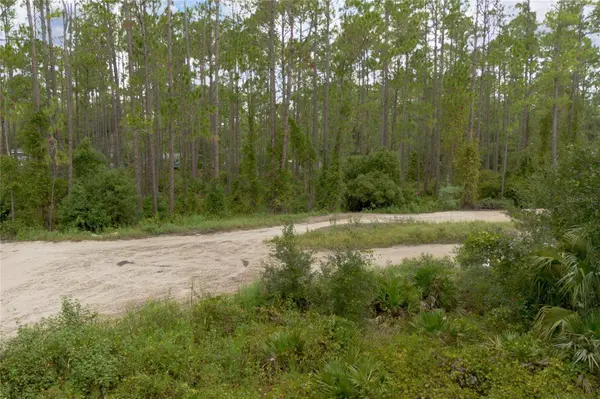 12TH AVE, Deland, FL 32724
