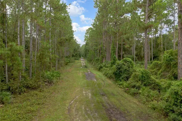 12TH AVE, Deland, FL 32724