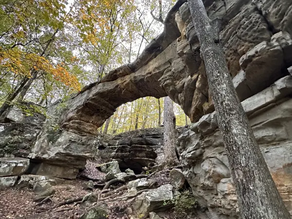 chattanooga-local-07