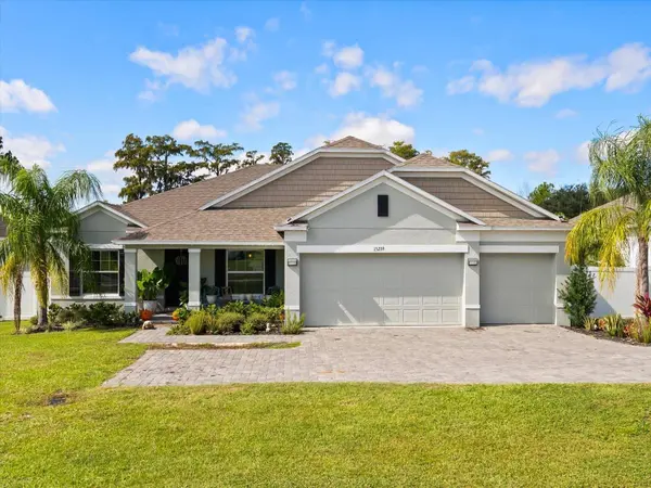 15239 SILVER EAGLE RD, Groveland, FL 34736