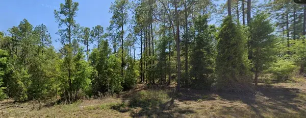 SE 5TH PL, Williston, FL 32696