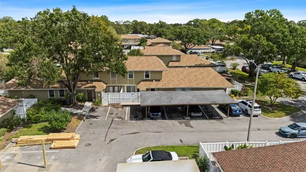 7303 LOS PADRES CT, Tampa, FL 33634