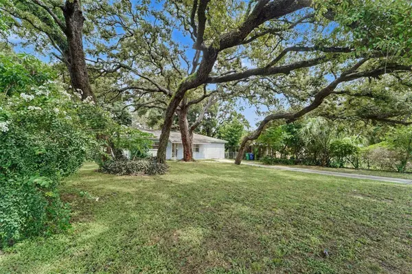 8121 N OLA AVE, Tampa, FL 33604