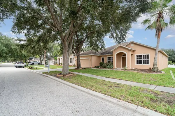 10903 WILDCAT DR, Riverview, FL 33579