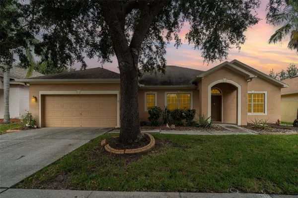 10903 WILDCAT DR, Riverview, FL 33579