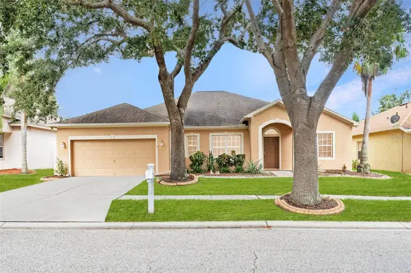 10903 WILDCAT DR, Riverview, FL 33579