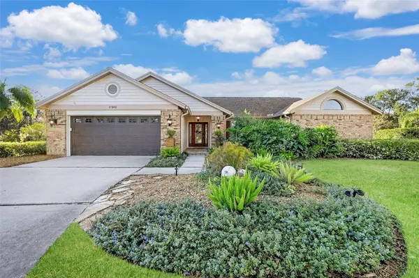 17302 PREAKNESS PL, Odessa, FL 33556