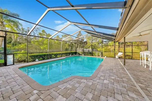 17302 PREAKNESS PL, Odessa, FL 33556