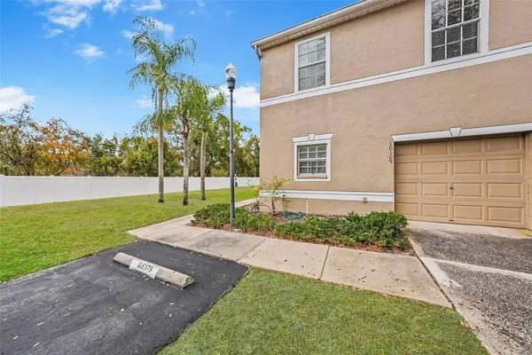 10109 BELLEVILLE PL, Tampa, FL 33624