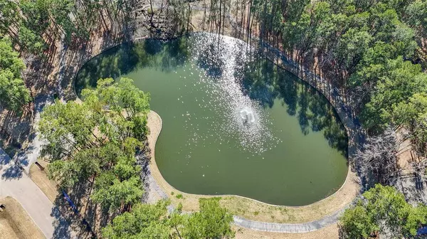 8779 Skyline LN, Conroe, TX 77302