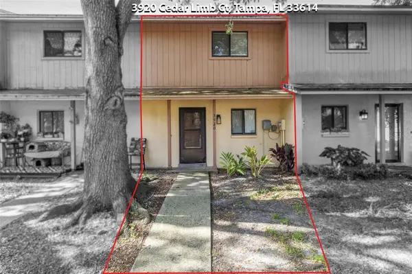 3920 CEDAR LIMB CT, Tampa, FL 33614