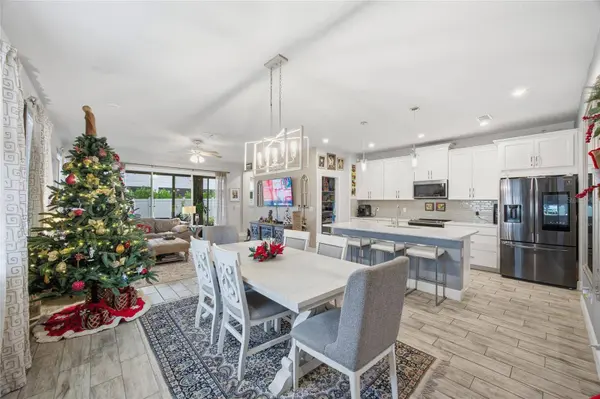 6041 GRAND SONATA AVE, Lutz, FL 33558