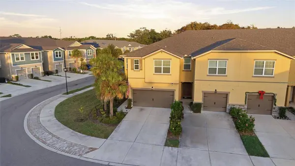 6041 GRAND SONATA AVE, Lutz, FL 33558