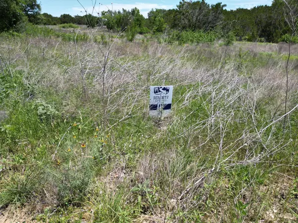 Lot 41 Serenity DR, Bertram, TX 78605