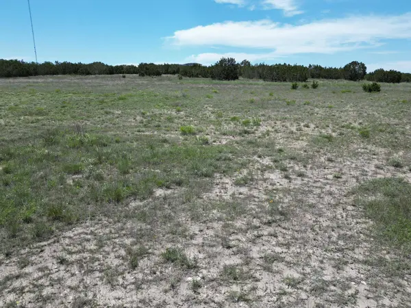 Lot 56 Serenity DR, Bertram, TX 78605