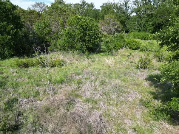 Lot 39 Serenity DR, Bertram, TX 78605