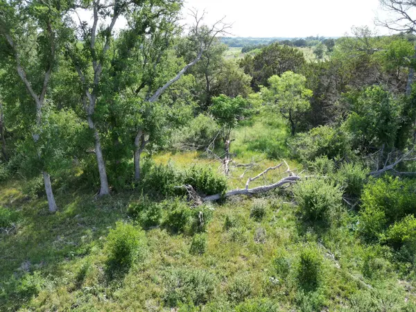 Lot 39 Serenity DR, Bertram, TX 78605