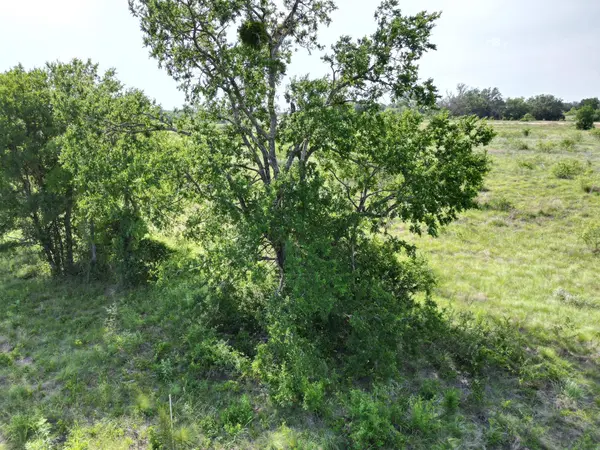 Lot 32 Serenity DR, Bertram, TX 78605
