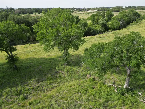 Lot 29 Serenity DR, Bertram, TX 78605