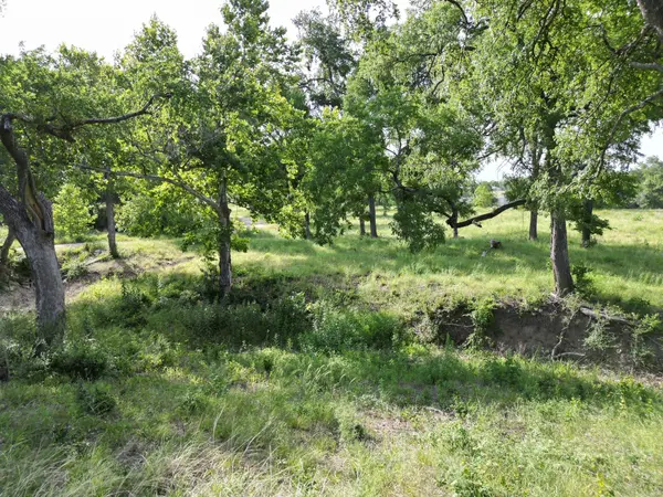 Lot 29 Serenity DR, Bertram, TX 78605