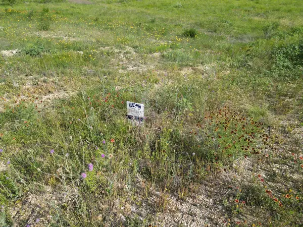 Lot 30 Serenity DR, Bertram, TX 78605