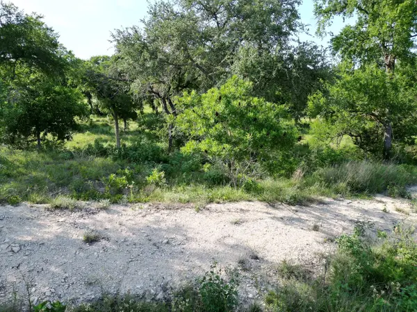 216 Serenity DR, Liberty Hill, TX 78642